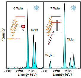 Spinrelaxation perovskites